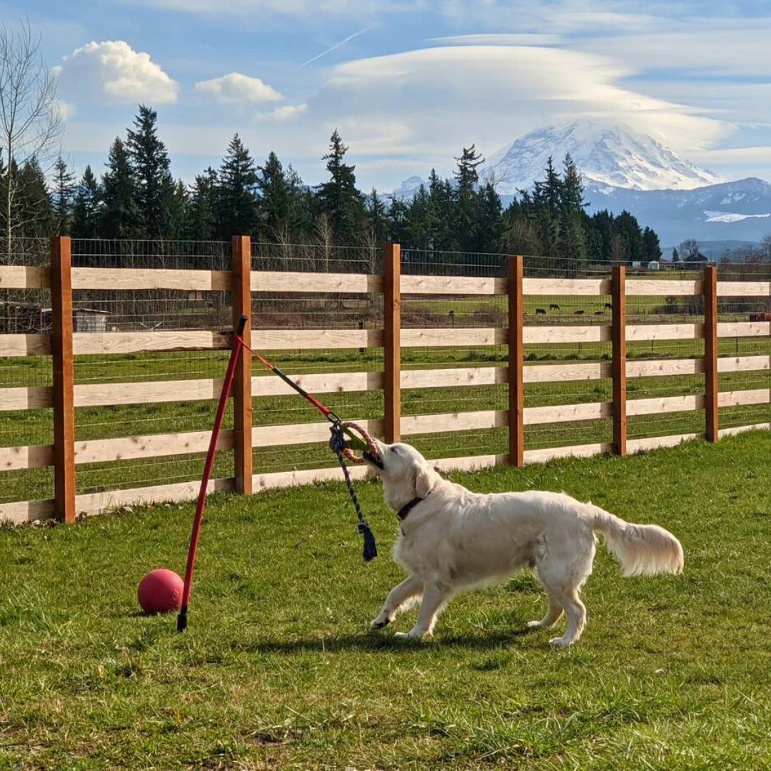 The Yard Tug